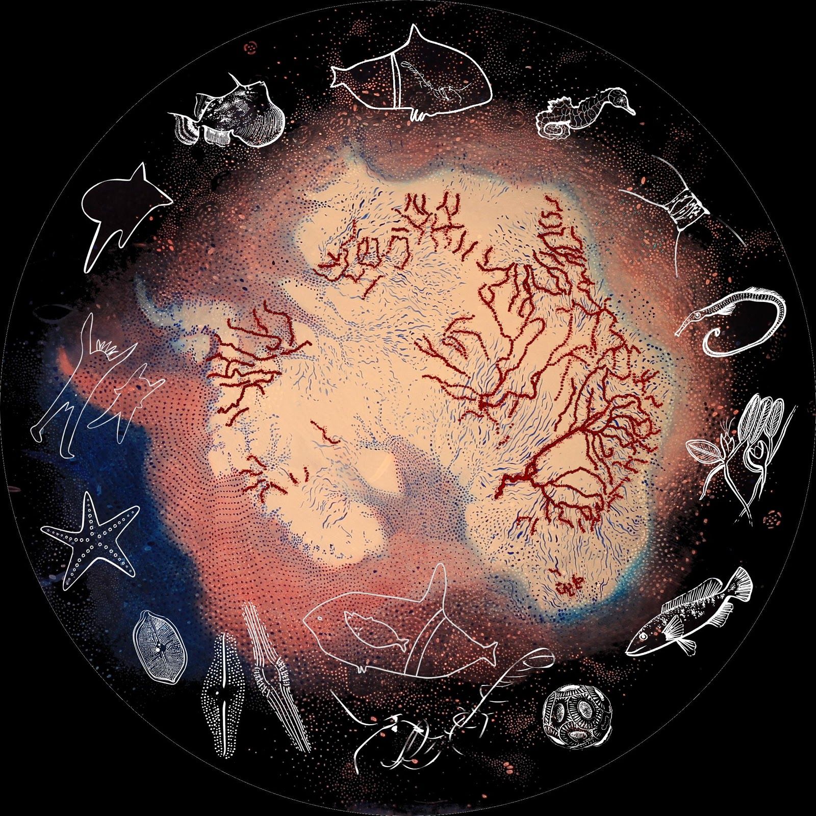 Australian Indigenous perspectives and Antarctic science Infographic by Lisa Roberts and Katherina Petrou, 2020