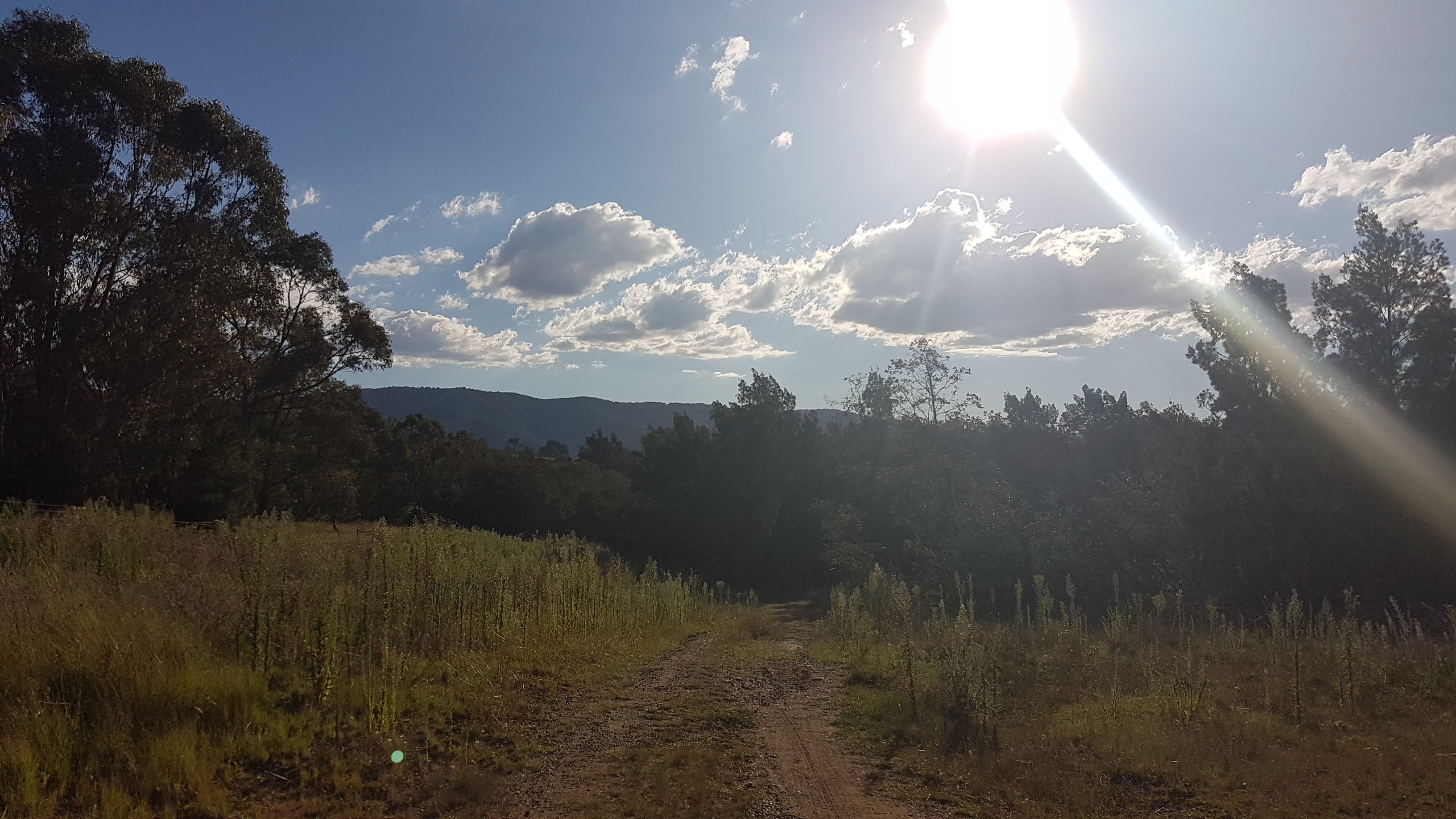 Walking along Tuggeranong Creek, Urambi © Tracey M Benson