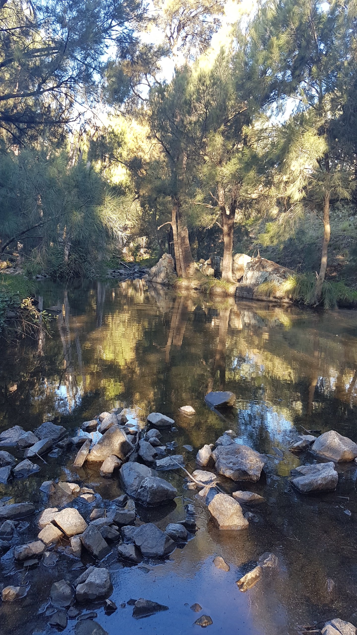 Walking along Tuggeranong Creek, Urambi © Tracey M Benson