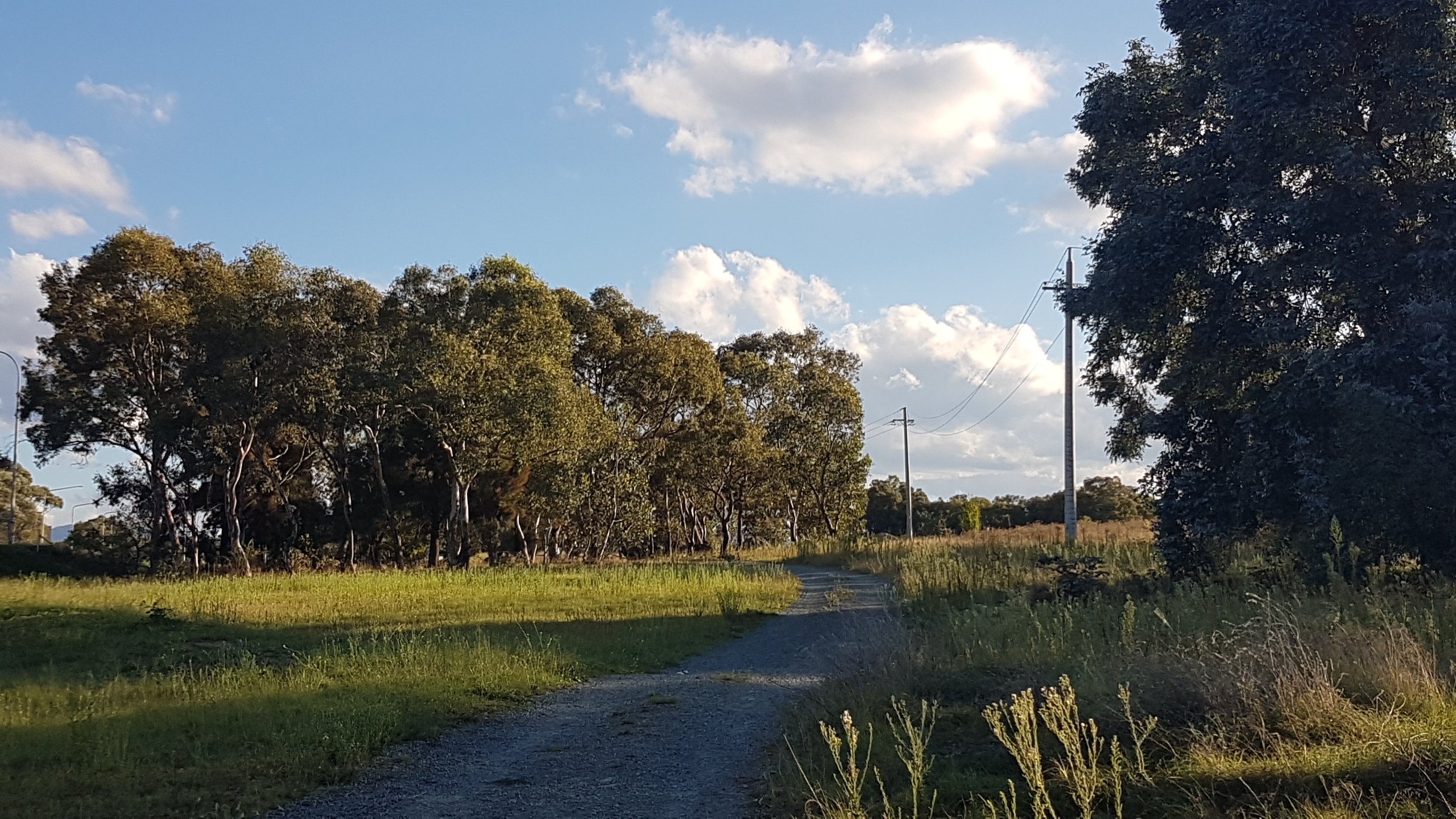 Walking along Tuggeranong Creek, Urambi © Tracey M Benson