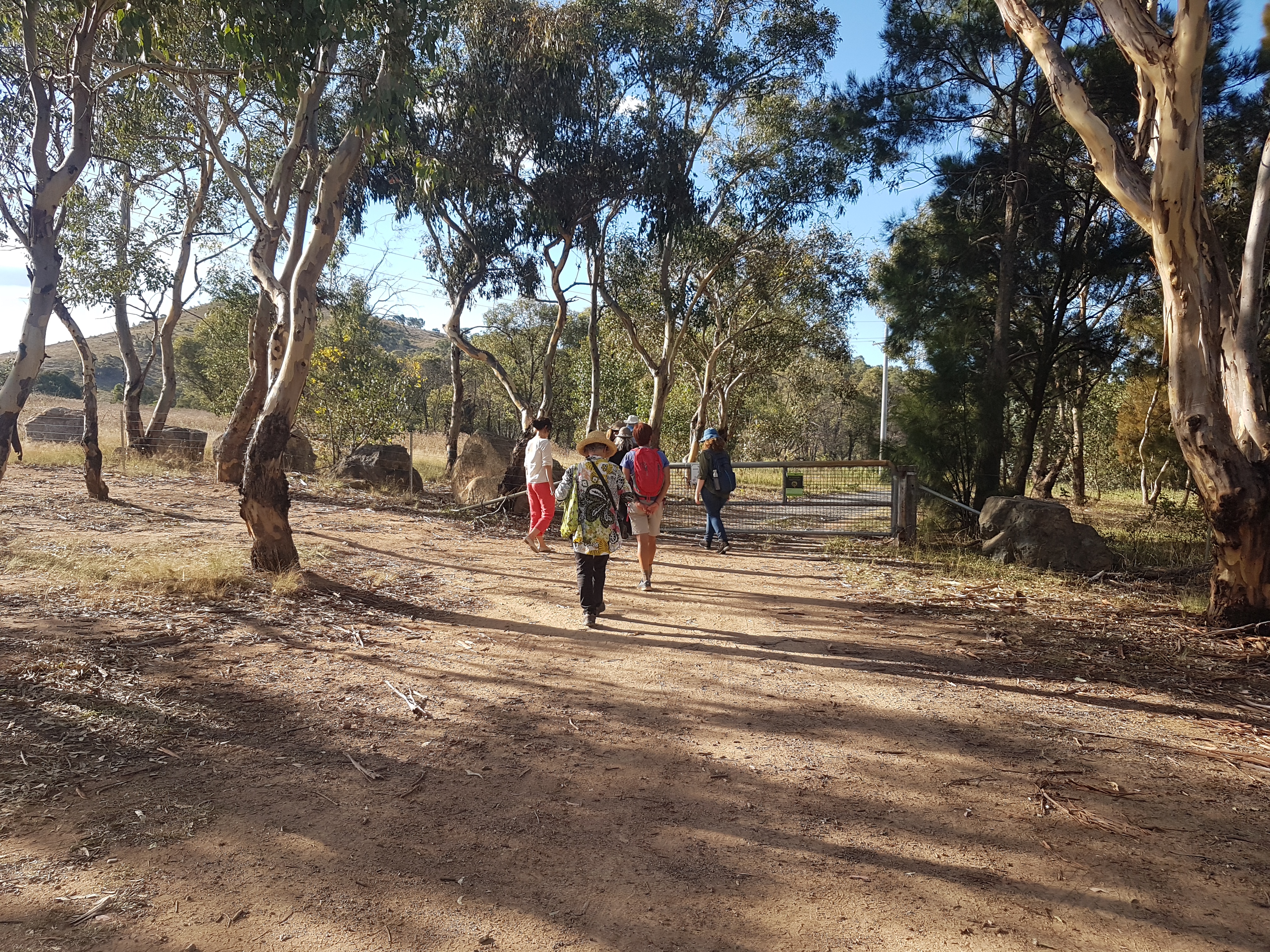 Walking meditation along Tuggeranong Creek, Urambi © Martin Drury