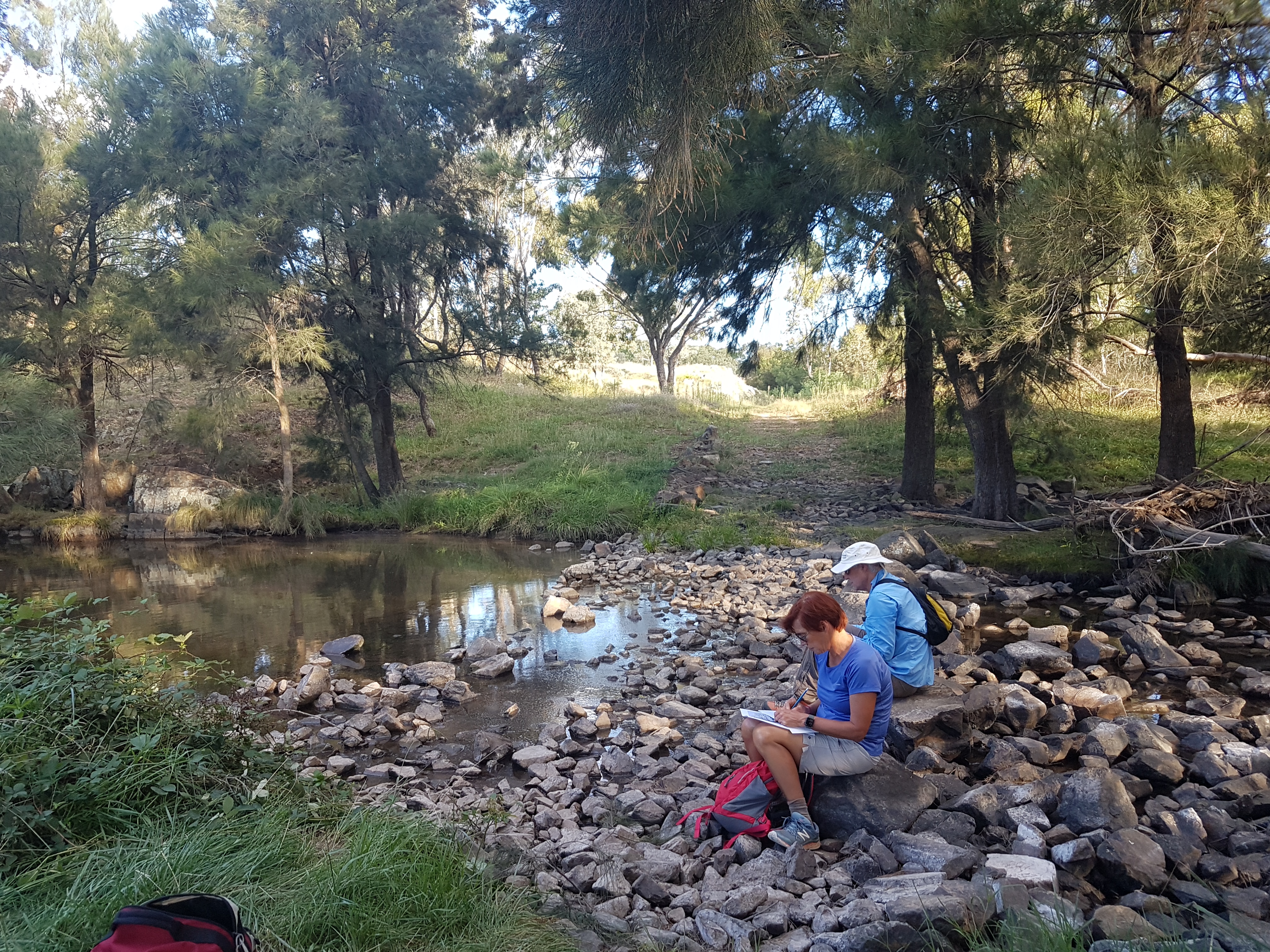 Walking meditation along Tuggeranong Creek, Urambi © Martin Drury