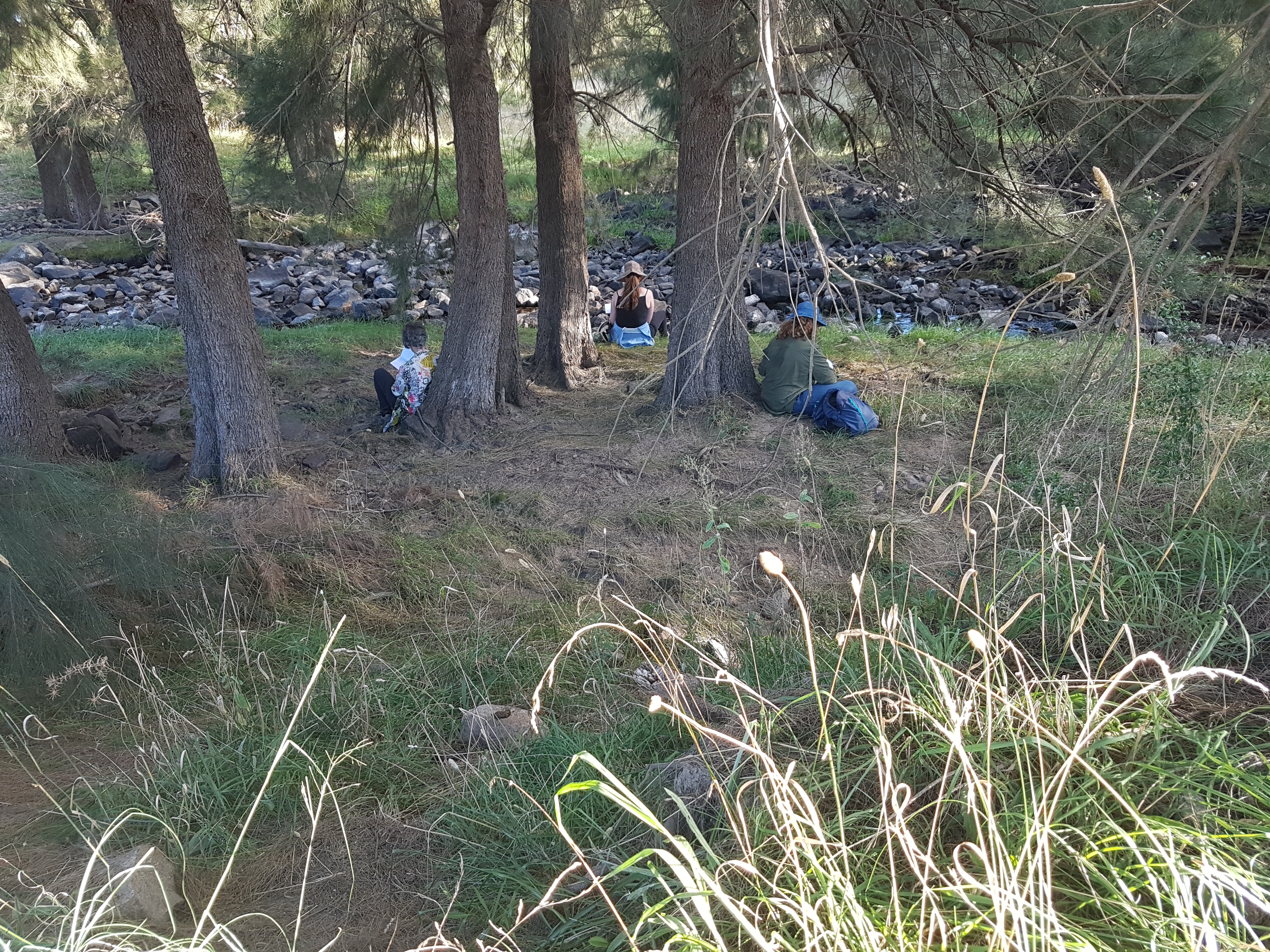 Walking meditation along Tuggeranong Creek, Urambi © Martin Drury