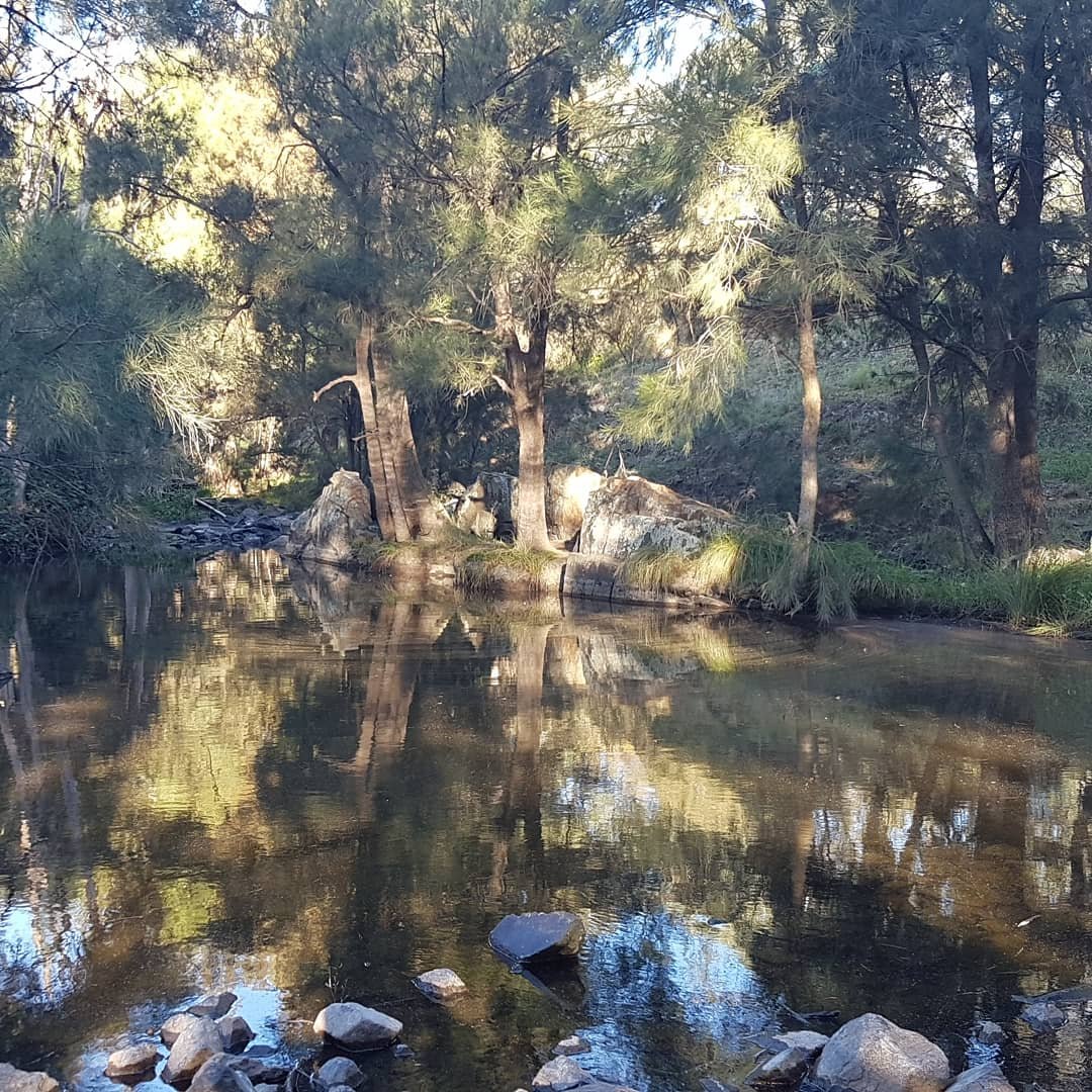 Walking meditation along Tuggeranong Creek, Urambi © Martin Drury