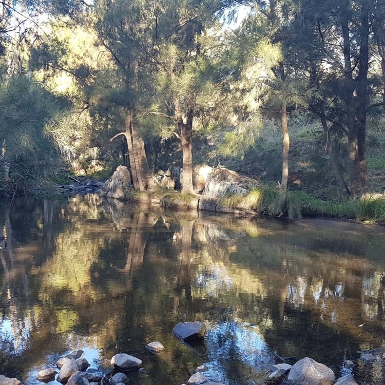 Walking meditation along Tuggeranong Creek, Urambi © Martin Drury