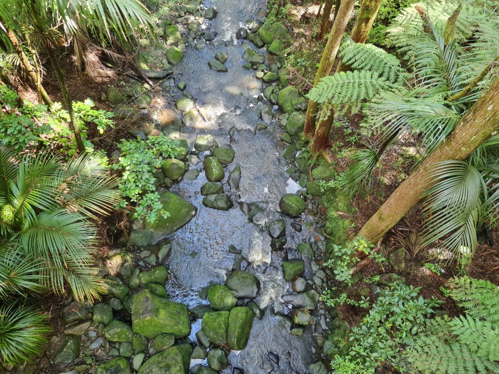 AHReed Park by Tracey M Benson 2022