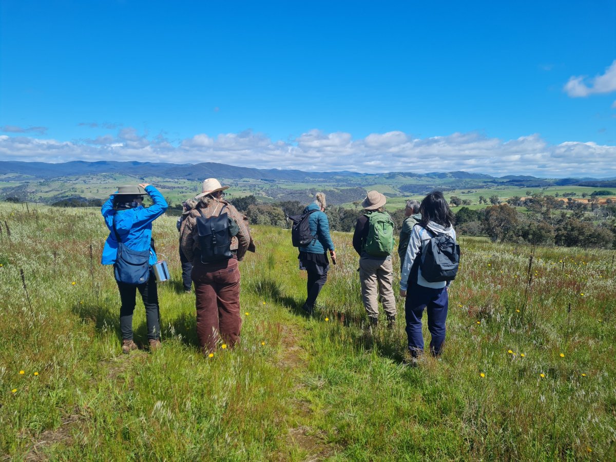 Walkshop at Ginninderry