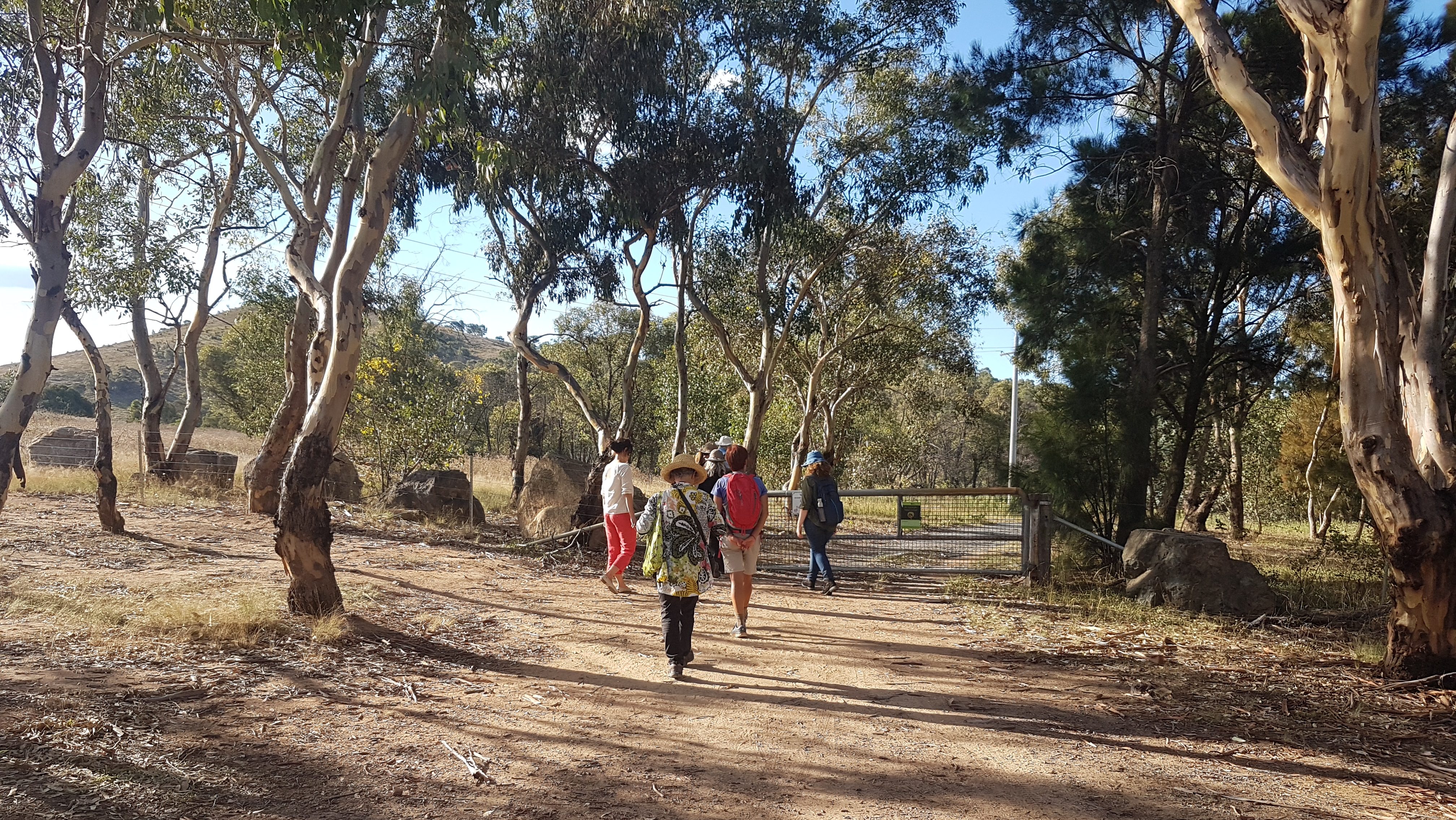 Walking meditation along Tuggeranong Creek, Urambi © Martin Drury