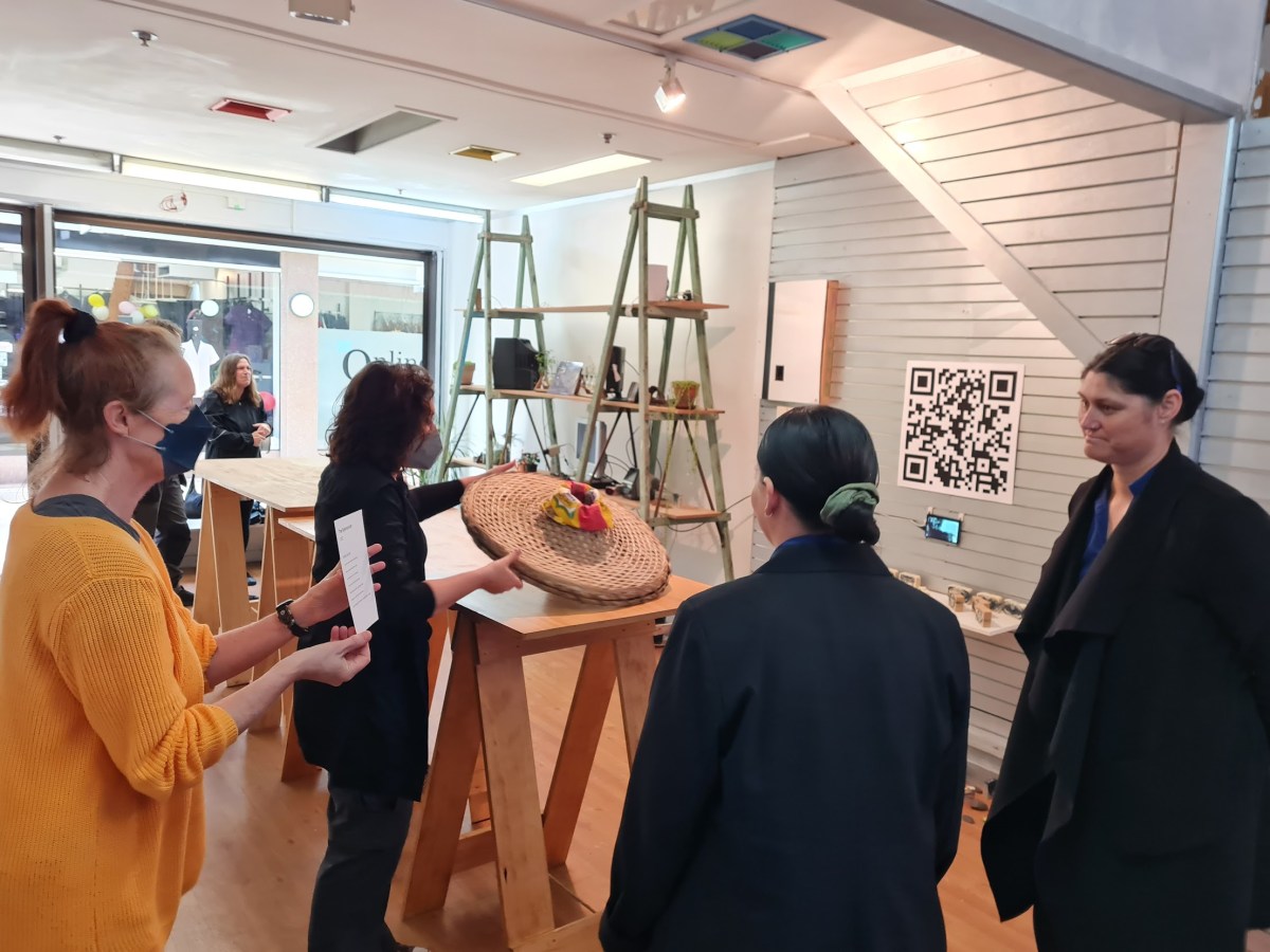 AwhiWorld Collaborations @ Plant Lab&nbsp;22