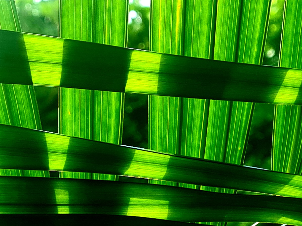 Why wellbeing and resilience go&nbsp;hand-in-hand